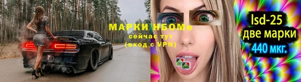 ГАЛЛЮЦИНОГЕННЫЕ ГРИБЫ Медвежьегорск