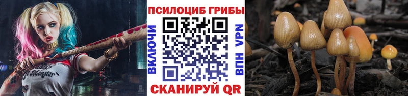 Галлюциногенные грибы Magic Shrooms  продажа наркотиков  мега ССЫЛКА  Темрюк 