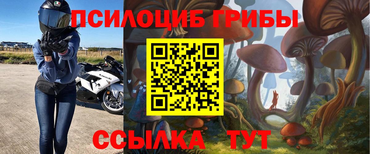 Галлюциногенные грибы мицелий Темрюк